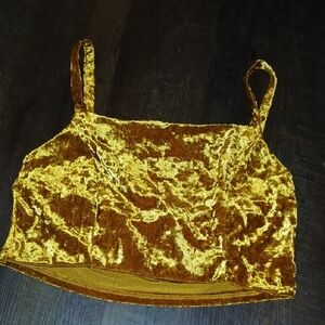 Forever 21 Shimmering Gold Velvet Crop Top